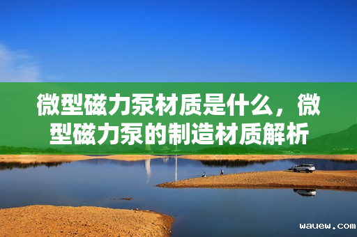 微型磁力泵材质是什么，微型磁力泵的制造材质解析