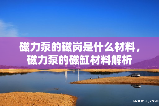 磁力泵的磁岗是什么材料，磁力泵的磁缸材料解析