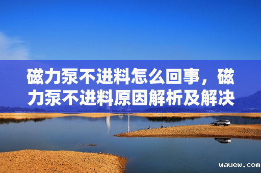 磁力泵不进料怎么回事，磁力泵不进料原因解析及解决方法