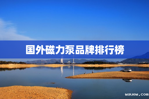 国外磁力泵品牌排行榜