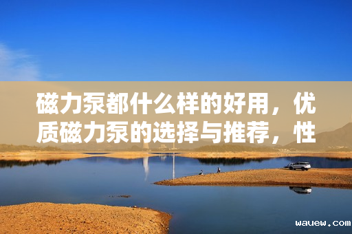 磁力泵都什么样的好用，优质磁力泵的选择与推荐，性能与耐用性并重