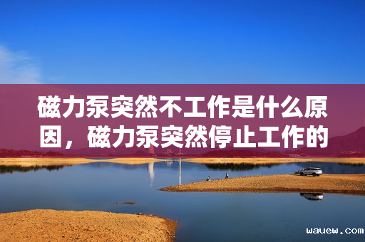 磁力泵突然不工作是什么原因，磁力泵突然停止工作的可能原因解析